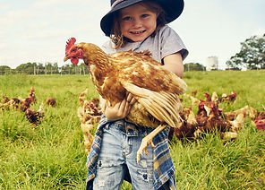 Shagbark Bantams - Backyard Chickens and Call Ducks